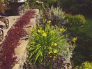 gallery/small/202 (28)-Landscapers-Hailey-Idaho.jpg